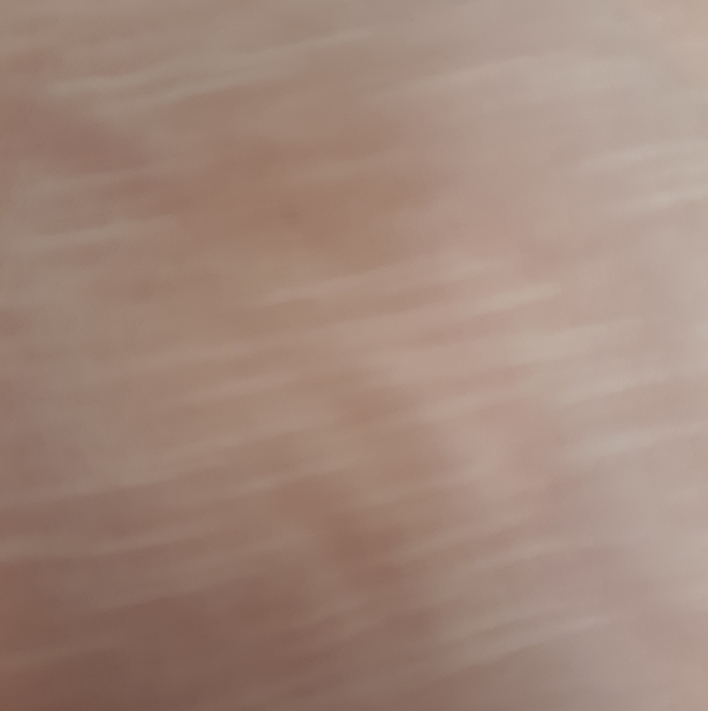 NWT- Pink Fluff Color Wrap - Picture 5 of 5